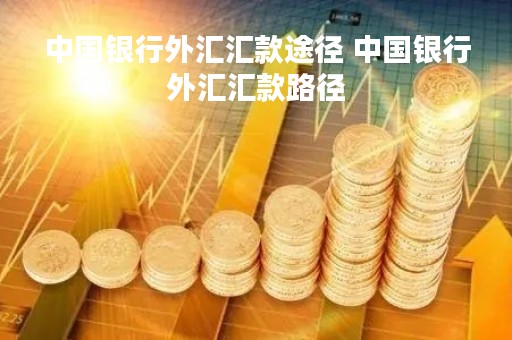 中国银行外汇汇款途径 中国银行外汇汇款路径