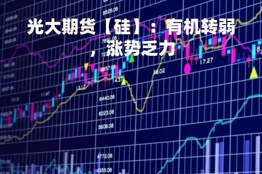 光大期货【硅】：有机转弱，涨势乏力