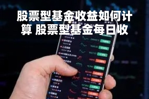 股票型基金收益如何计算 股票型基金每日收益计算公式