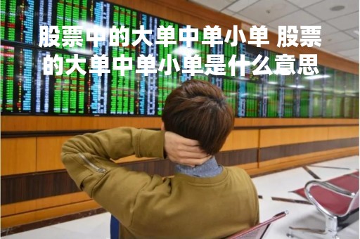 股票中的大单中单小单 股票的大单中单小单是什么意思 股票中的大单中单小单 股票的大单中单小单是什么意思