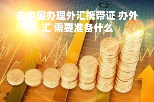 去中国办理外汇携带证 办外汇 需要准备什么