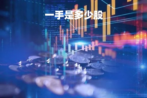 一手是多少股