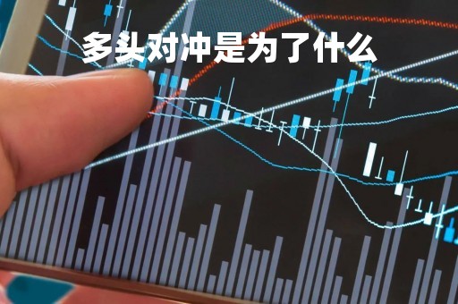 多头对冲是为了什么