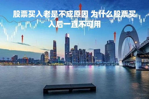 股票买入老是不成原因 为什么股票买入后一直不可用 股票买入老是不成原因 为什么股票买入后一直不可用