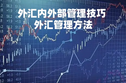 外汇内外部管理技巧 外汇管理方法