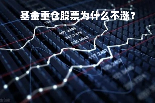 基金重仓股票为什么不涨？