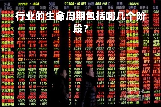 行业的生命周期包括哪几个阶段？