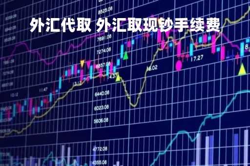 外汇代取 外汇取现钞手续费