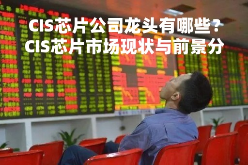 CIS芯片公司龙头有哪些？CIS芯片市场现状与前景分析