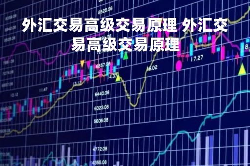 外汇交易高级交易原理 外汇交易高级交易原理