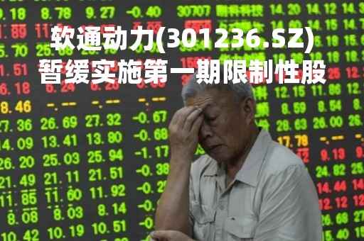 软通动力(301236.SZ)暂缓实施第一期限制性股票激励计划