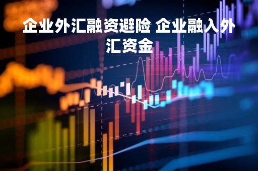 企业外汇融资避险 企业融入外汇资金