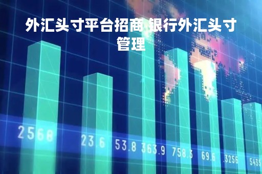 外汇头寸平台招商 银行外汇头寸管理