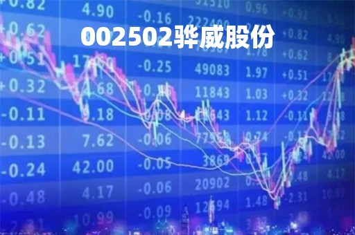 002502骅威股份
