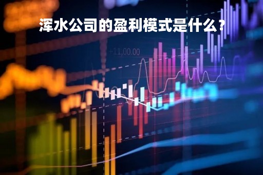 浑水公司的盈利模式是什么？