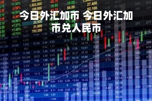今日外汇加币 今日外汇加币兑人民币