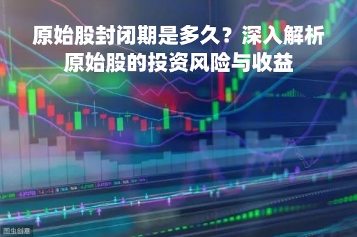 原始股封闭期是多久？深入解析原始股的投资风险与收益