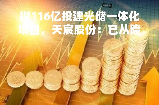 拟116亿投建光储一体化项目，天宸股份：已从隆基聘用专业人士 正式协议落地后需专业团队