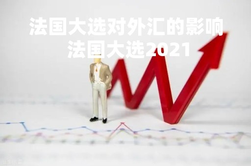 法国大选对外汇的影响 法国大选2021