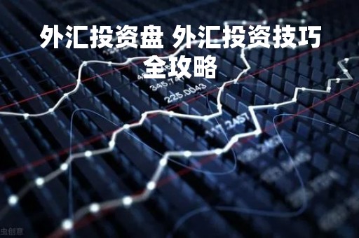 外汇投资盘 外汇投资技巧全攻略