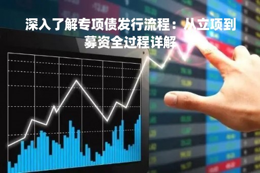 深入了解专项债发行流程：从立项到募资全过程详解