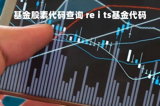 基金股票代码查询 reⅰts基金代码