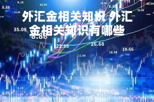 外汇金相关知识 外汇金相关知识有哪些