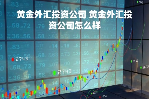 黄金外汇投资公司 黄金外汇投资公司怎么样