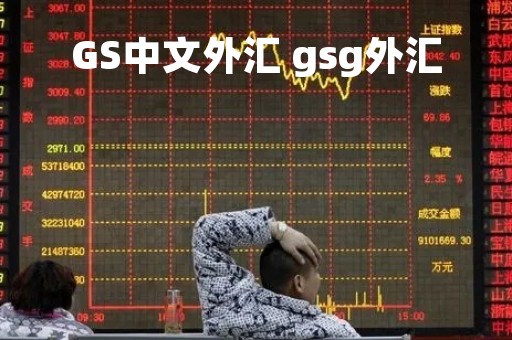 GS中文外汇 gsg外汇