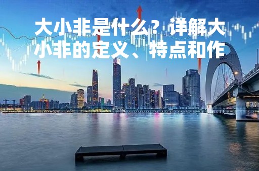大小非是什么？详解大小非的定义、特点和作用