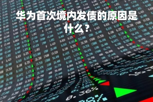 华为首次境内发债的原因是什么？