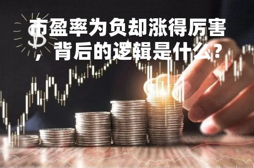 市盈率为负却涨得厉害，背后的逻辑是什么？
