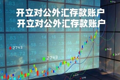 开立对公外汇存款账户 开立对公外汇存款账户的识别主体