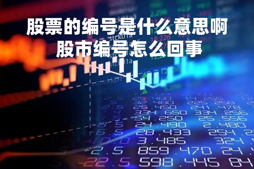 股票的编号是什么意思啊 股市编号怎么回事