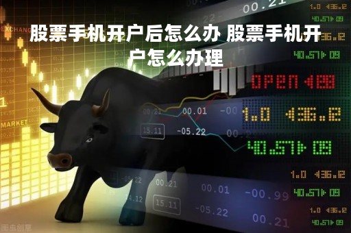 股票手机开户后怎么办 股票手机开户怎么办理 股票手机开户后怎么办 股票手机开户怎么办理