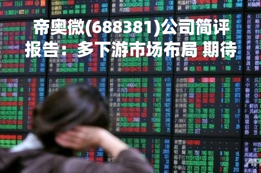 帝奥微(688381)公司简评报告：多下游市场布局 期待高性能产品持续推出