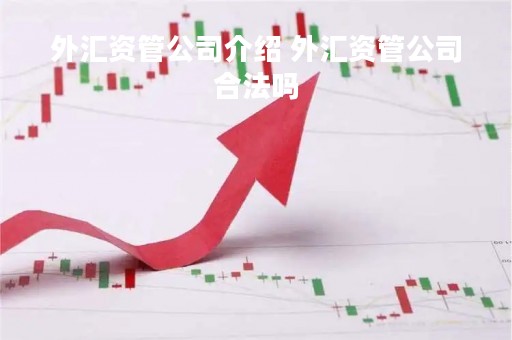 外汇资管公司介绍 外汇资管公司合法吗