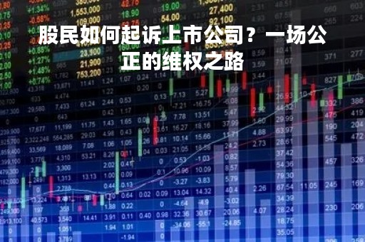股民如何起诉上市公司？一场公正的维权之路