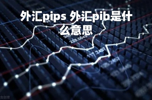外汇pips 外汇pib是什么意思