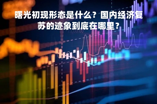 曙光初现形态是什么？国内经济复苏的迹象到底在哪里？