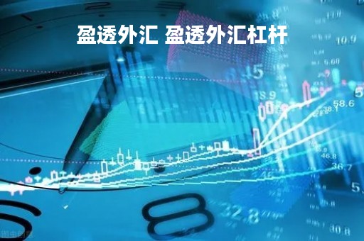 盈透外汇 盈透外汇杠杆