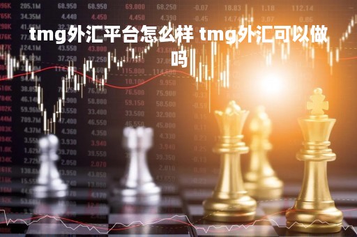 tmg外汇平台怎么样 tmg外汇可以做吗