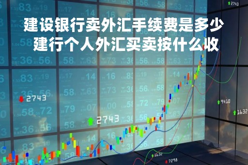 建设银行卖外汇手续费是多少 建行个人外汇买卖按什么收手续费