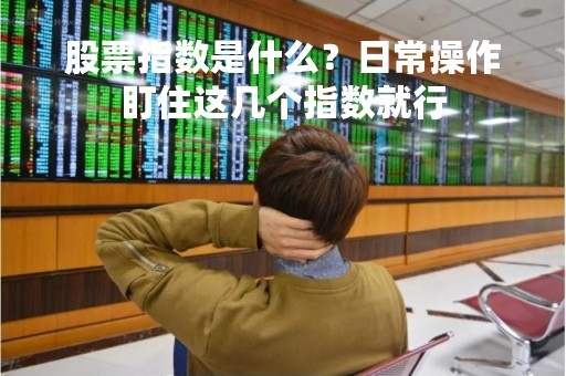 股票指数是什么？日常操作盯住这几个指数就行