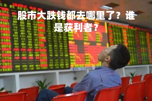 股市大跌钱都去哪里了？谁是获利者？