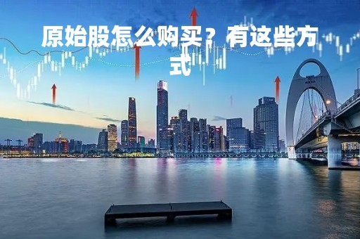原始股怎么购买？有这些方式