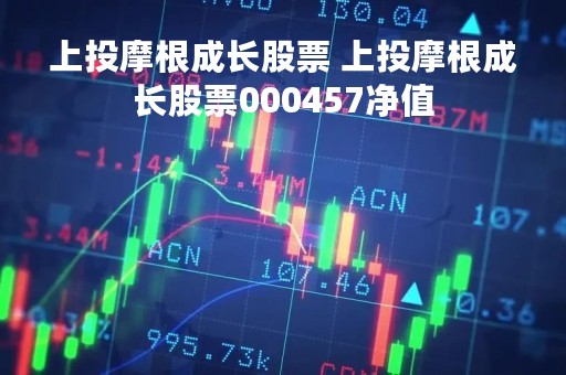 上投摩根成长股票 上投摩根成长股票000457净值