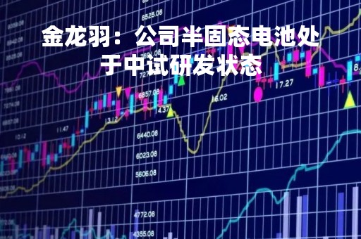 金龙羽：公司半固态电池处于中试研发状态