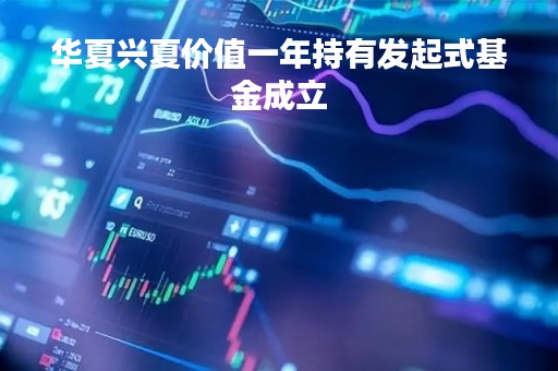 华夏兴夏价值一年持有发起式基金成立