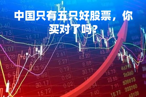 中国只有五只好股票，你买对了吗？
